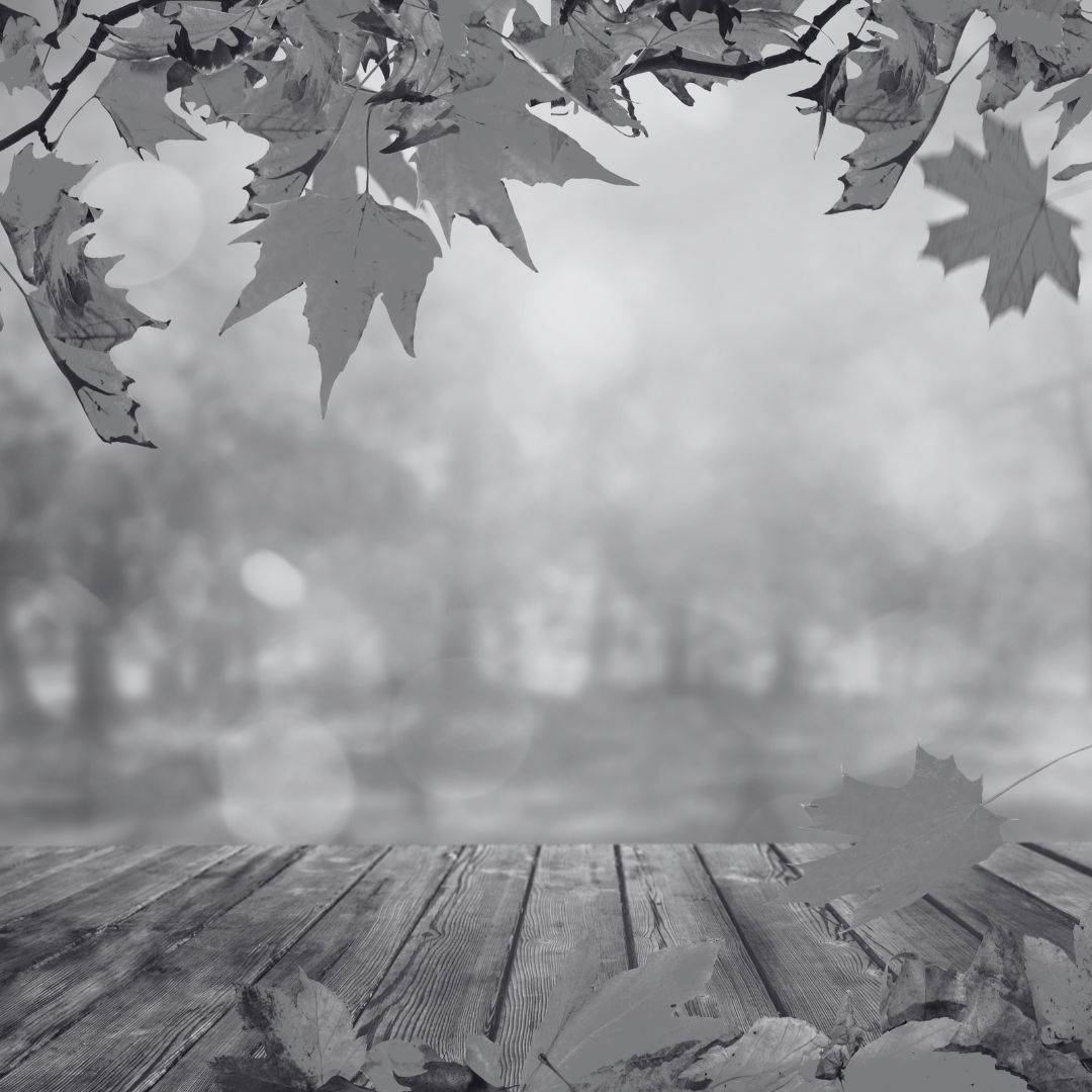 Interventions laser à Lyon : optimisez votre beauté pendant l'automne à la Clinique Crillon