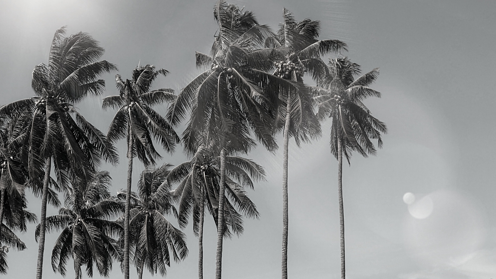 prévention chirurgie low cost à Lyon